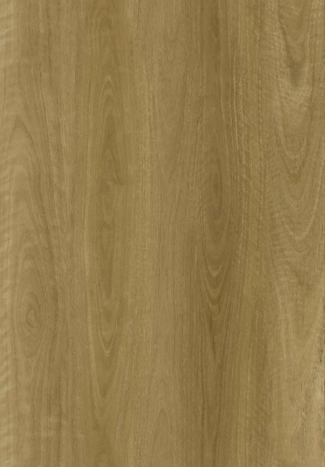 Amber Blackbutt plank