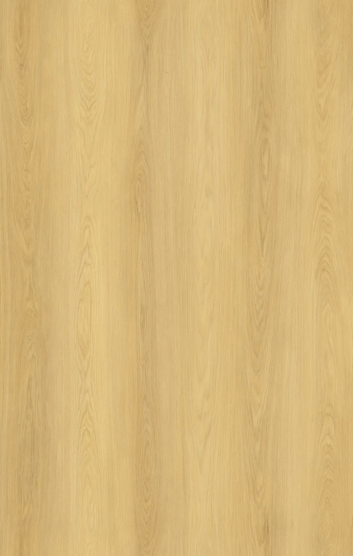 Chalk Oak plank