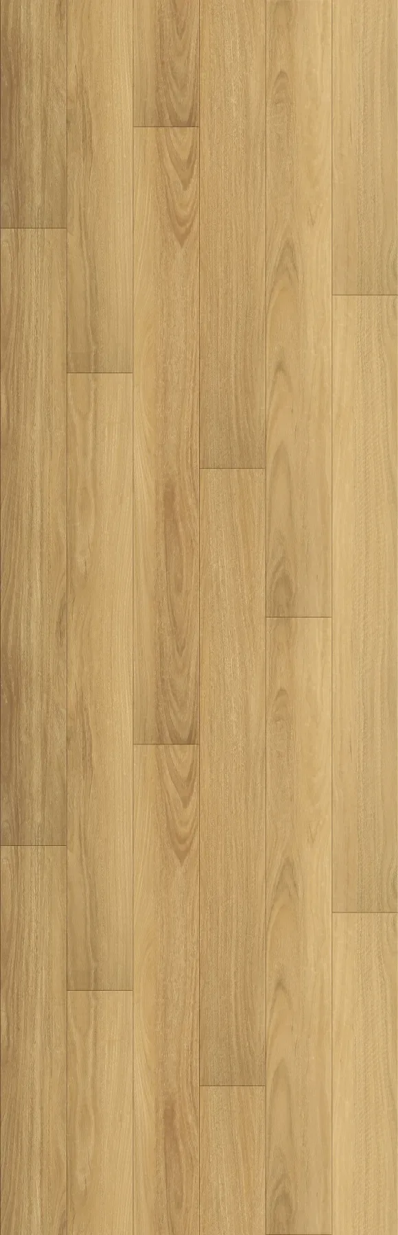 Light Blackbutt planks laid out