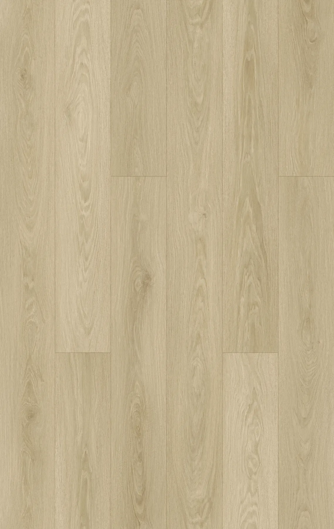 Loft Oak planks laid out