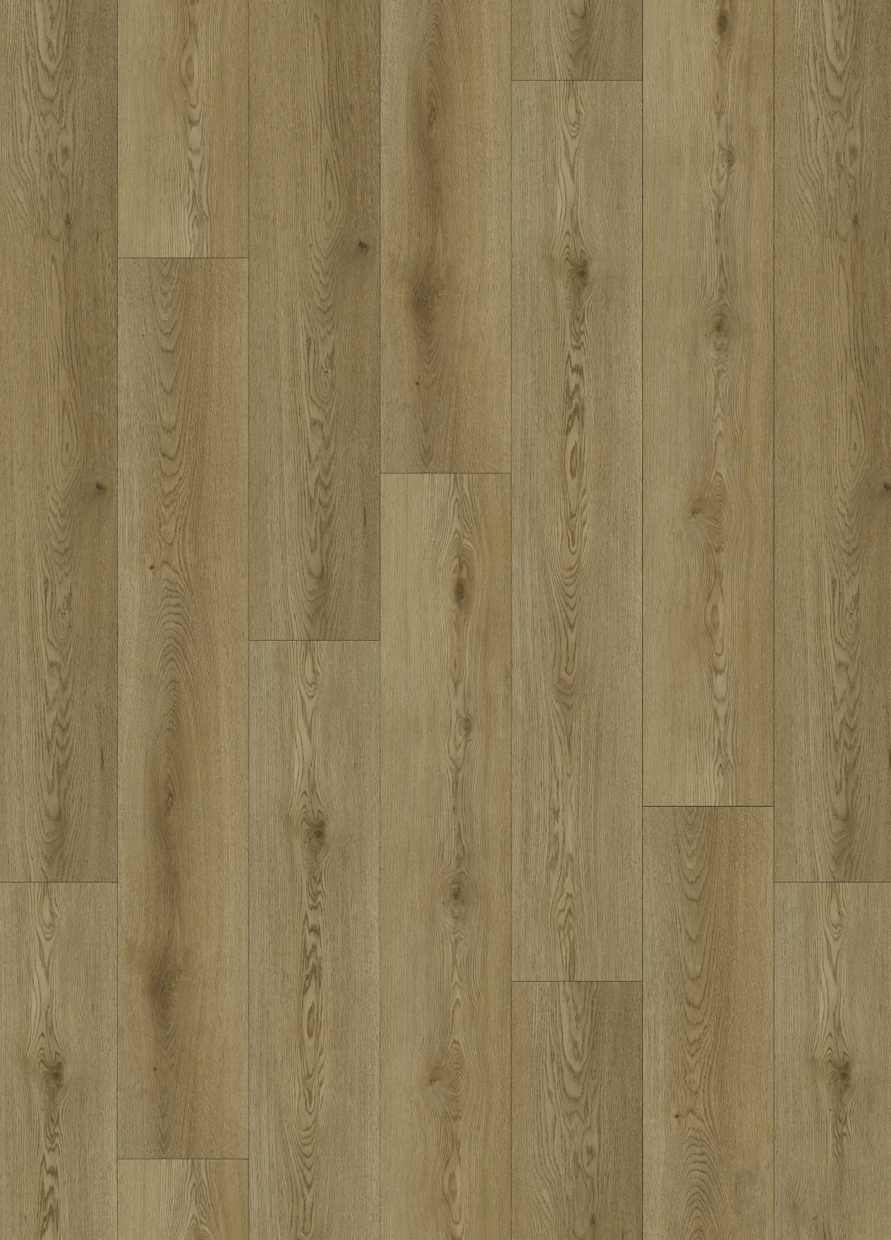Ashen Oak planks laid out