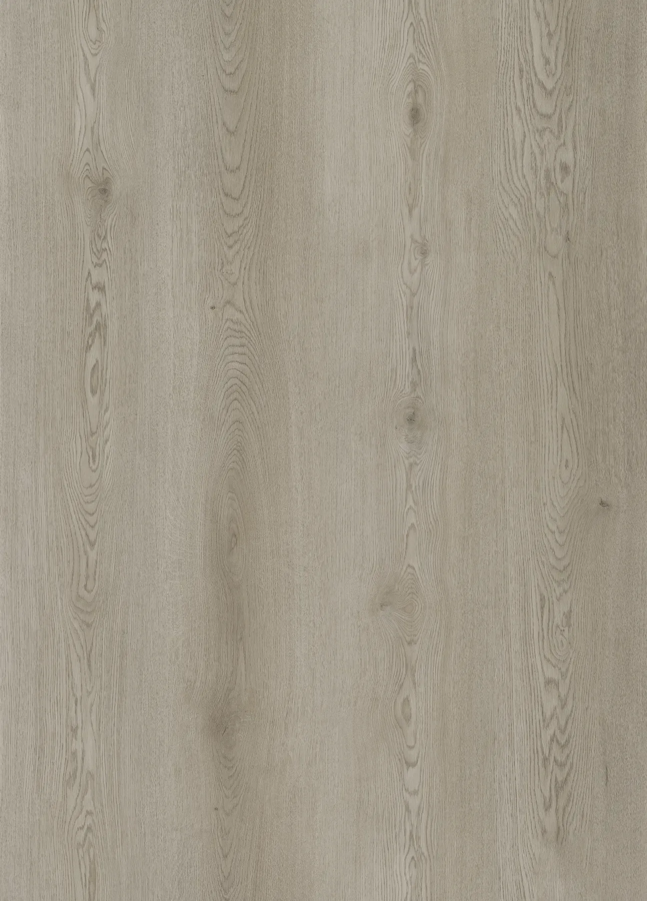 Glacier Oak plank