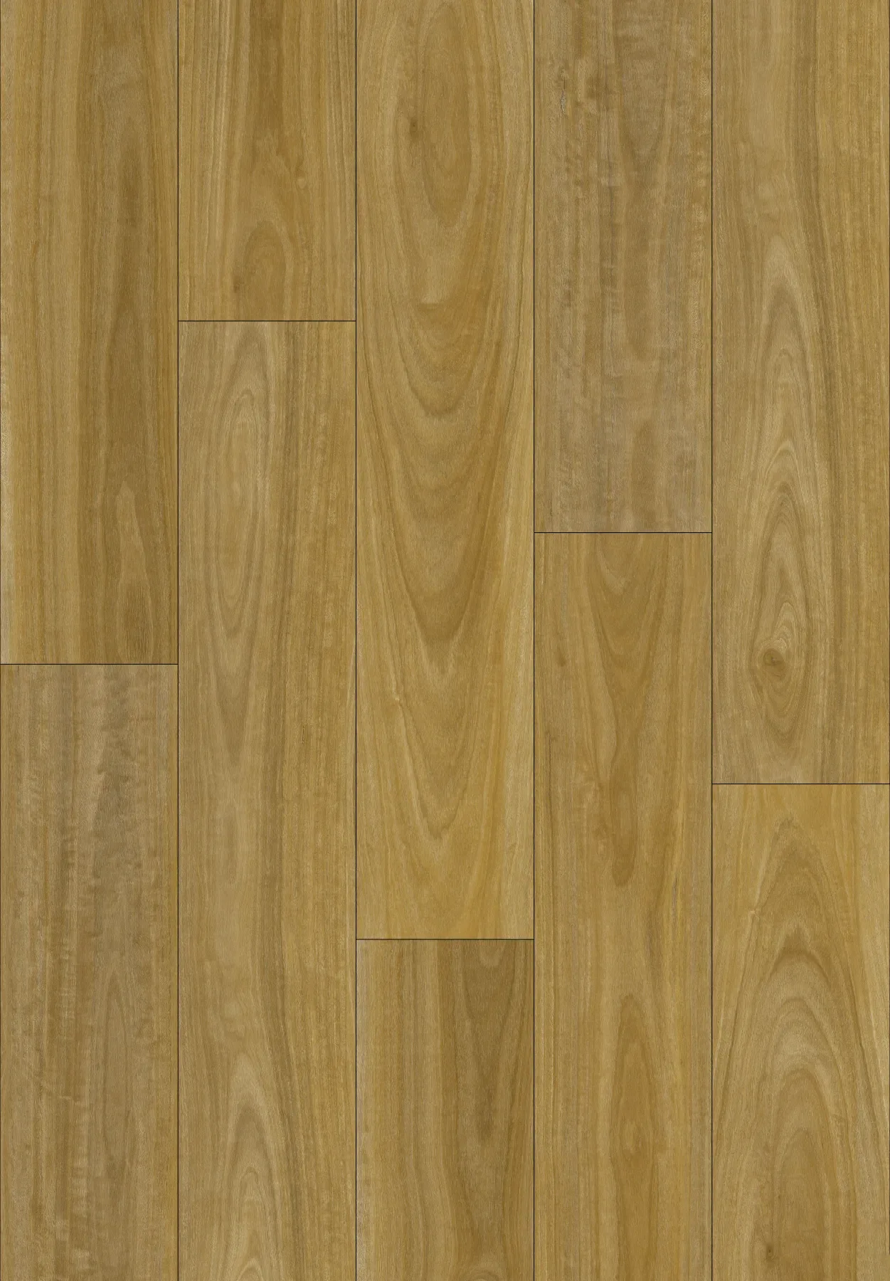 Pure Blackbutt planks laid out