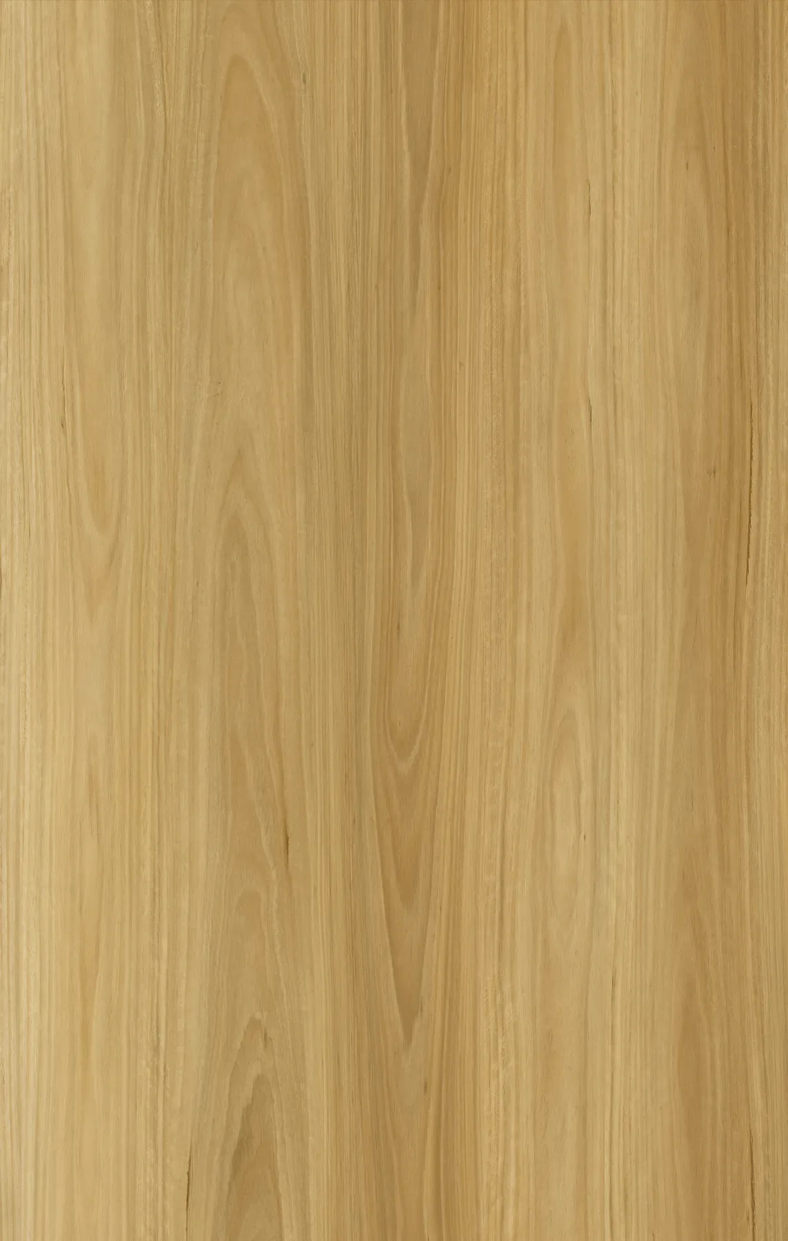 Warm Spotted Gum plank